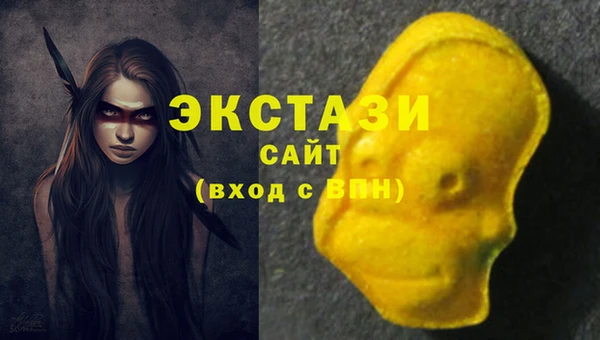 хмурый Алексин