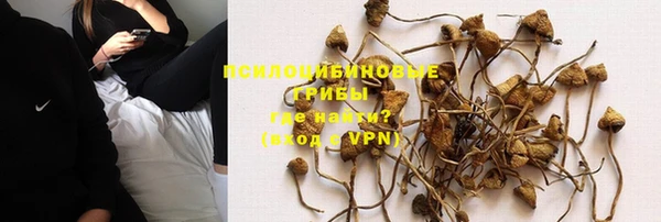 хмурый Алексин