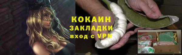 хмурый Алексин