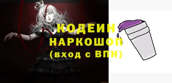хмурый Алексин