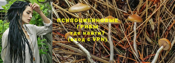 mdpv Алексеевка
