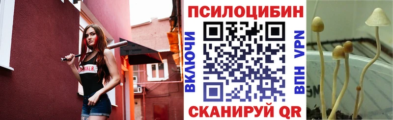 Галлюциногенные грибы Psilocybe  сколько стоит  Ивдель 