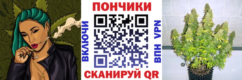 закладка  Ивдель  Шишки марихуана планчик 